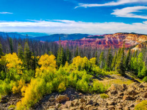 20160905_170600 Final